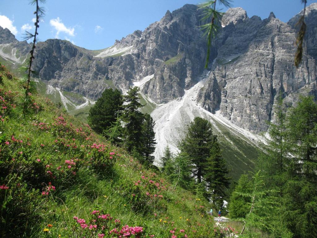 Pension Bergwelt Neustift im Stubaital Eksteriør bilde